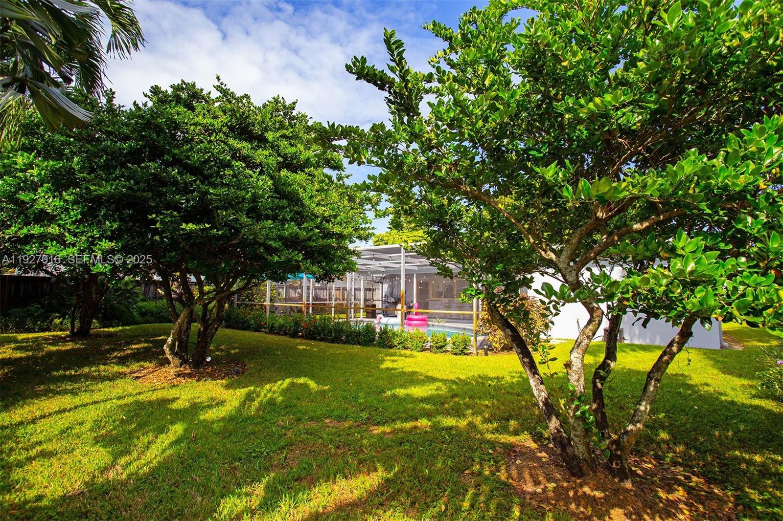 HOLLYWOOD HILLS - Residential