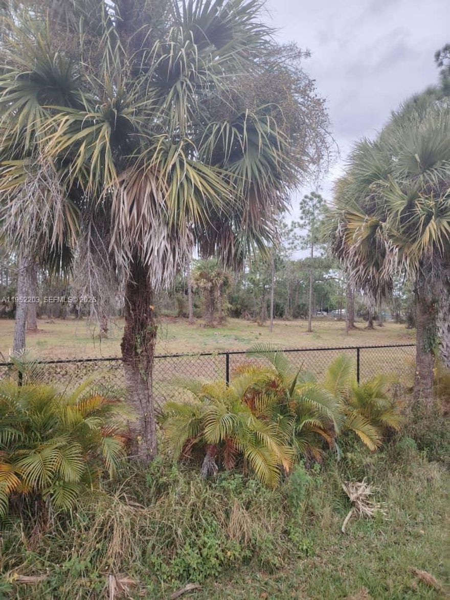 Build your desired home or homes on this beautiful and spacious CORNER lot in the desired Montura Ranches, minutes from Lake Okeechobee and close to Ft. Myers, Cape Coral and the Gulf of America.  Seller has cleared the land and made it ready to build.