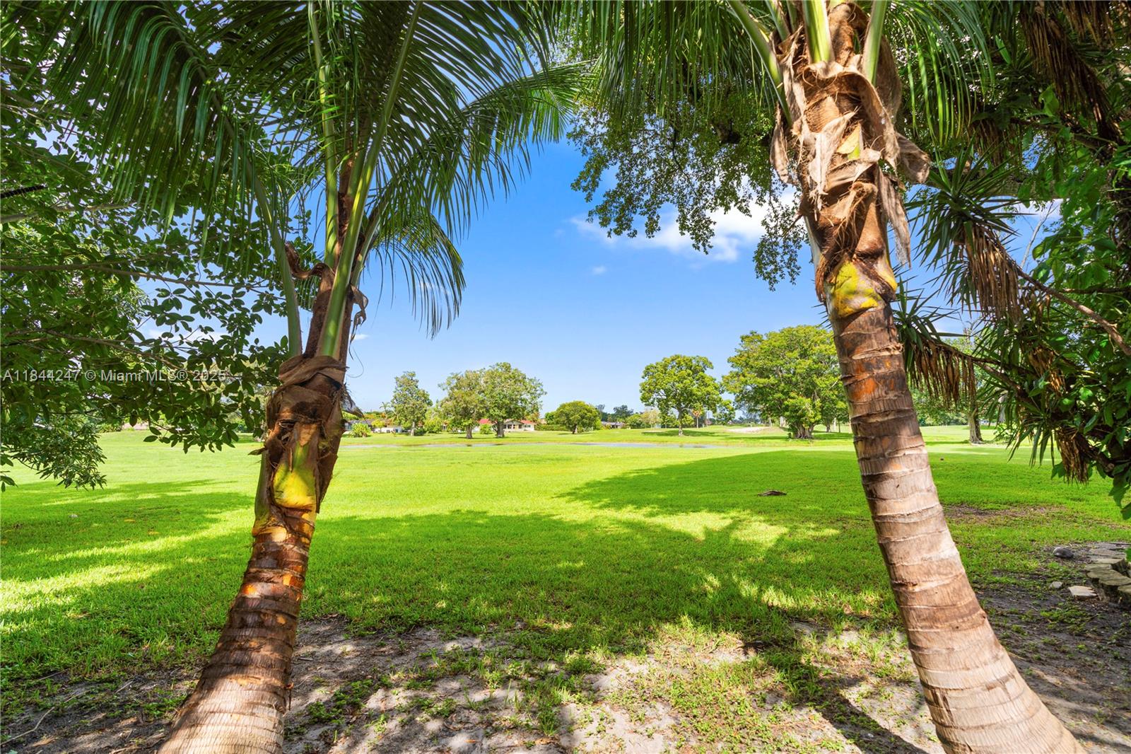 Luxury meets lifestyle @ Country Club of Miami. Sophisticated, spacious 4 beds, 3 full baths (fee simple) townhome, nestled on the lush fairways of one of Miami’s most iconic golf communities. Floor 2 ceiling windows, endless green views, screened patio & spacious balcony that elevate SoFlo's sunsets. Nearly 2,000 sf of refined living, volume ceilings, wood & tile flooring, sleek quartz kitchen, SS appliances, custom cabinetry & spa like master bath. Additional primary suite on first floor w/ private courtyard access ideal for guests or multigenerational living. Laundry room, custom closets throughoutn & garage. Move in ready, meticulously updated delivering value in a prestigious, lifestyle rich neighborhood. If you're upgrading your space or making your first smart move this is the one.