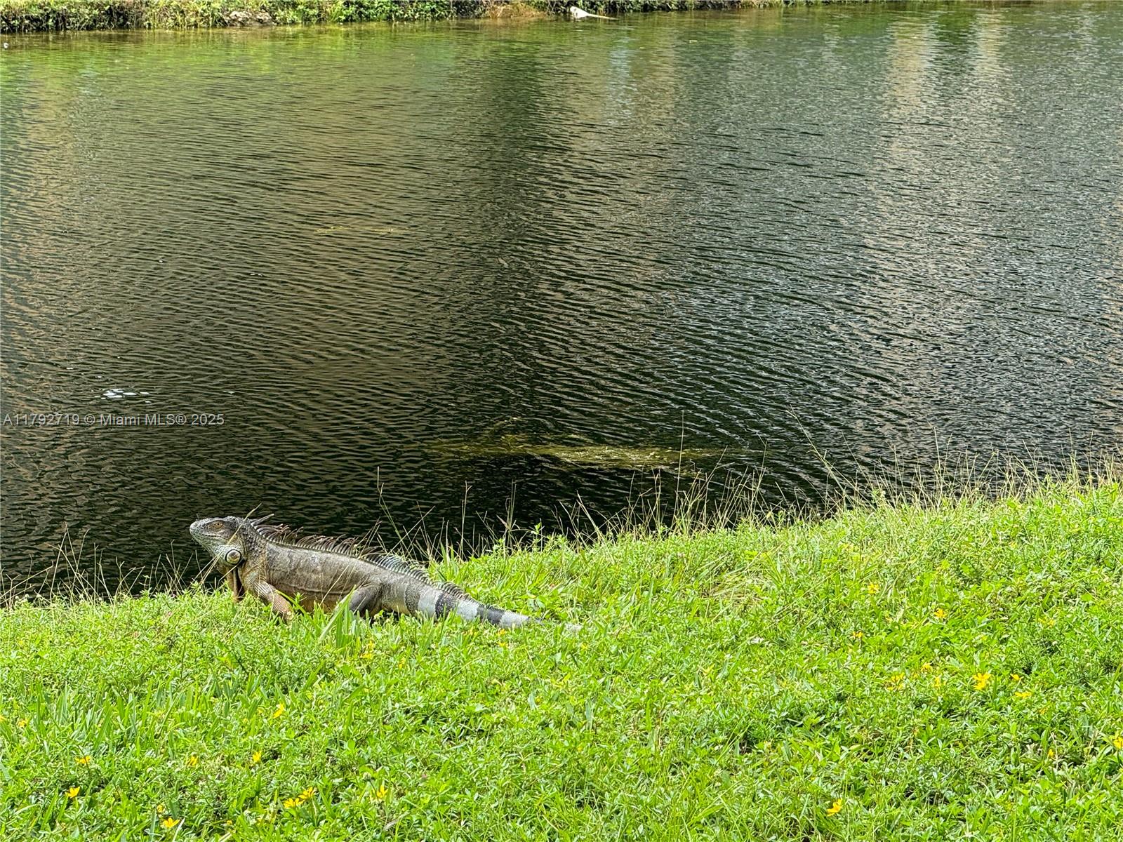 SUNRISE LAKES 63 CONDO - Residential