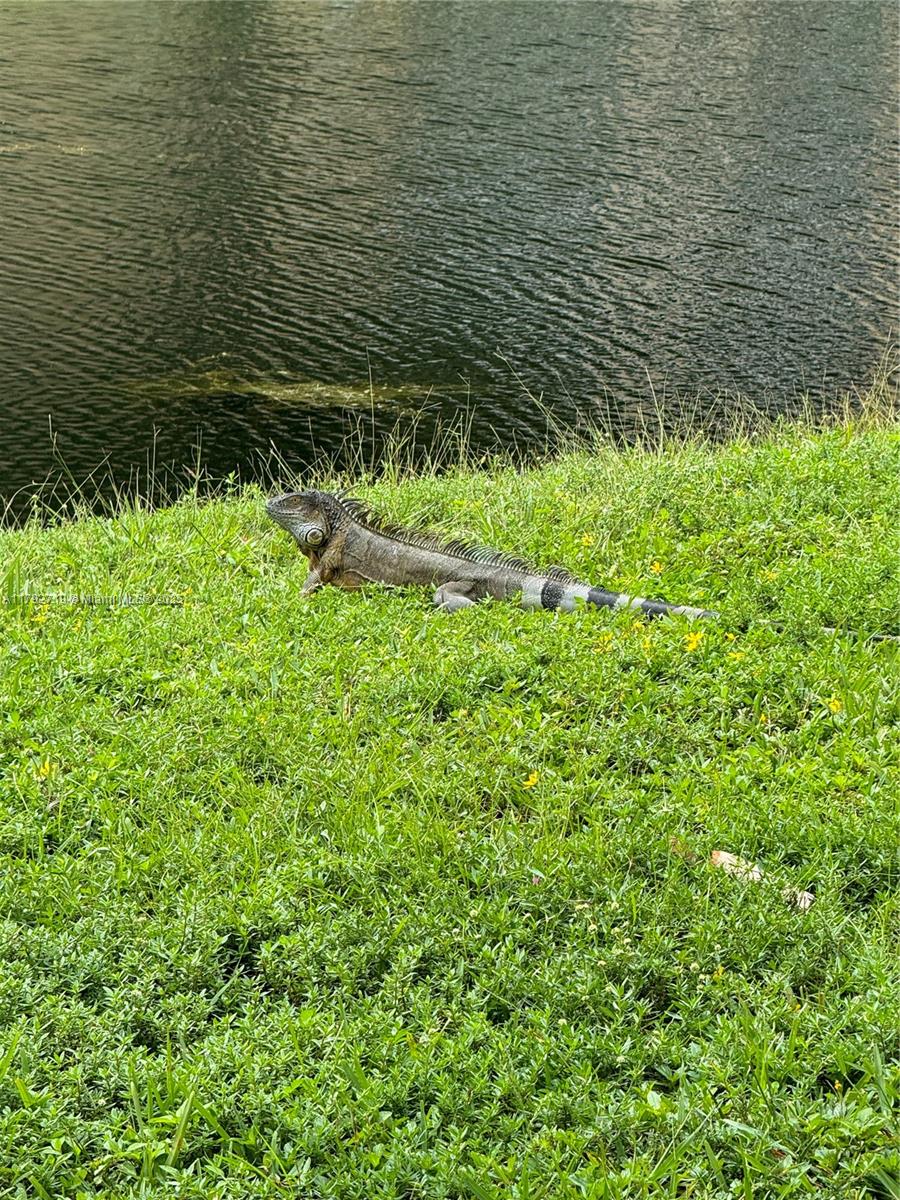 SUNRISE LAKES 63 CONDO - Residential