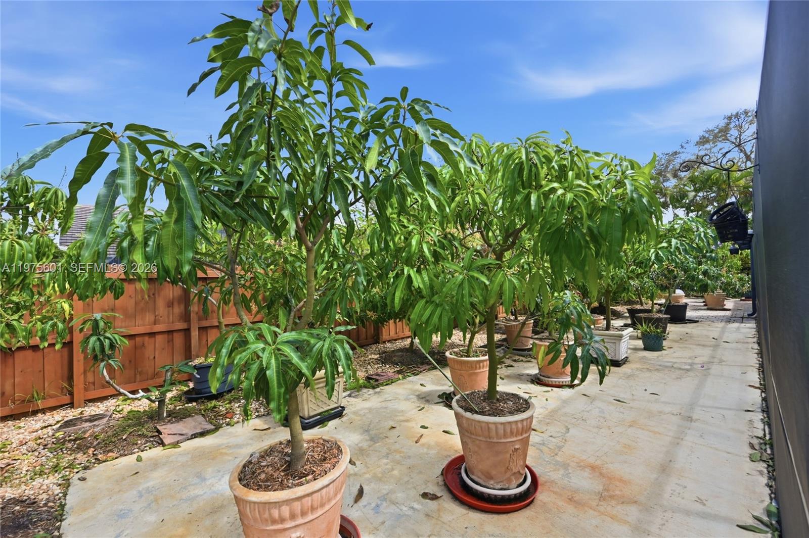 NORTH SPRINGS - Residential