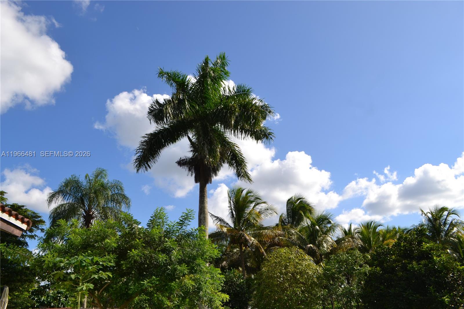 GRIFFIN 345 PLAT - Residential Lease