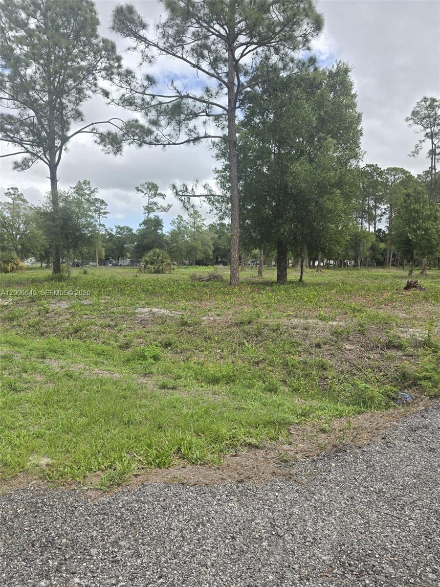 Montura Ranch Estates - Land