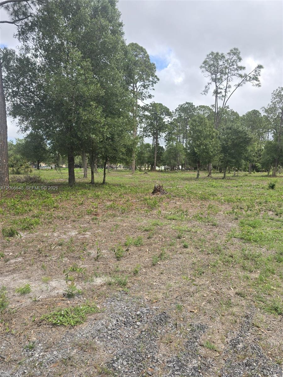 Montura Ranch Estates - Land