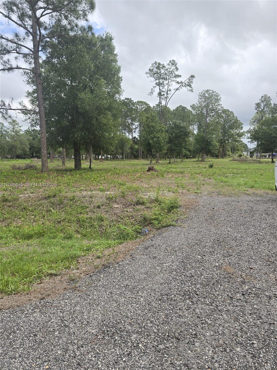 Montura Ranch Estates - Land