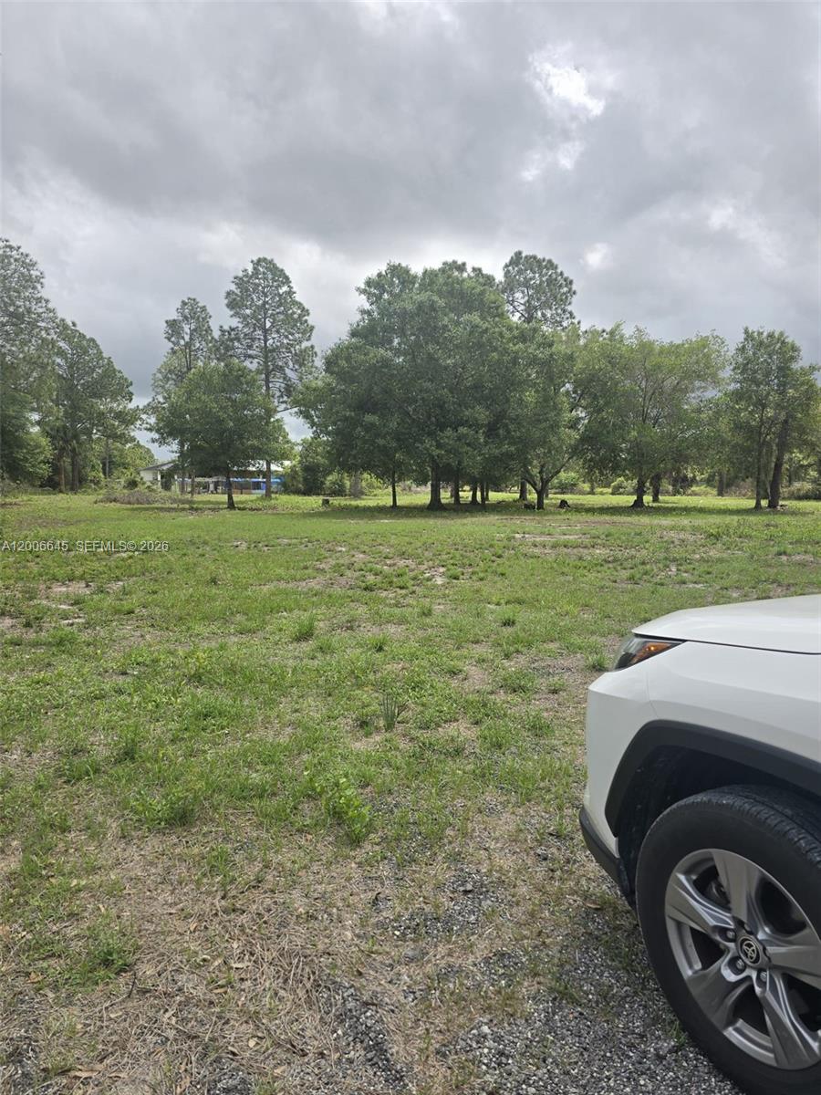 Montura Ranch Estates - Land
