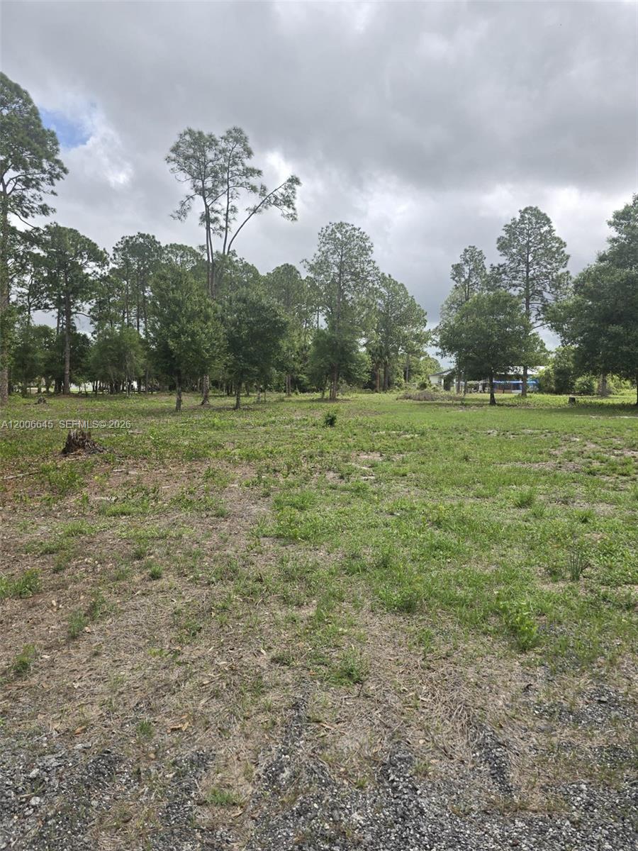 Montura Ranch Estates - Land