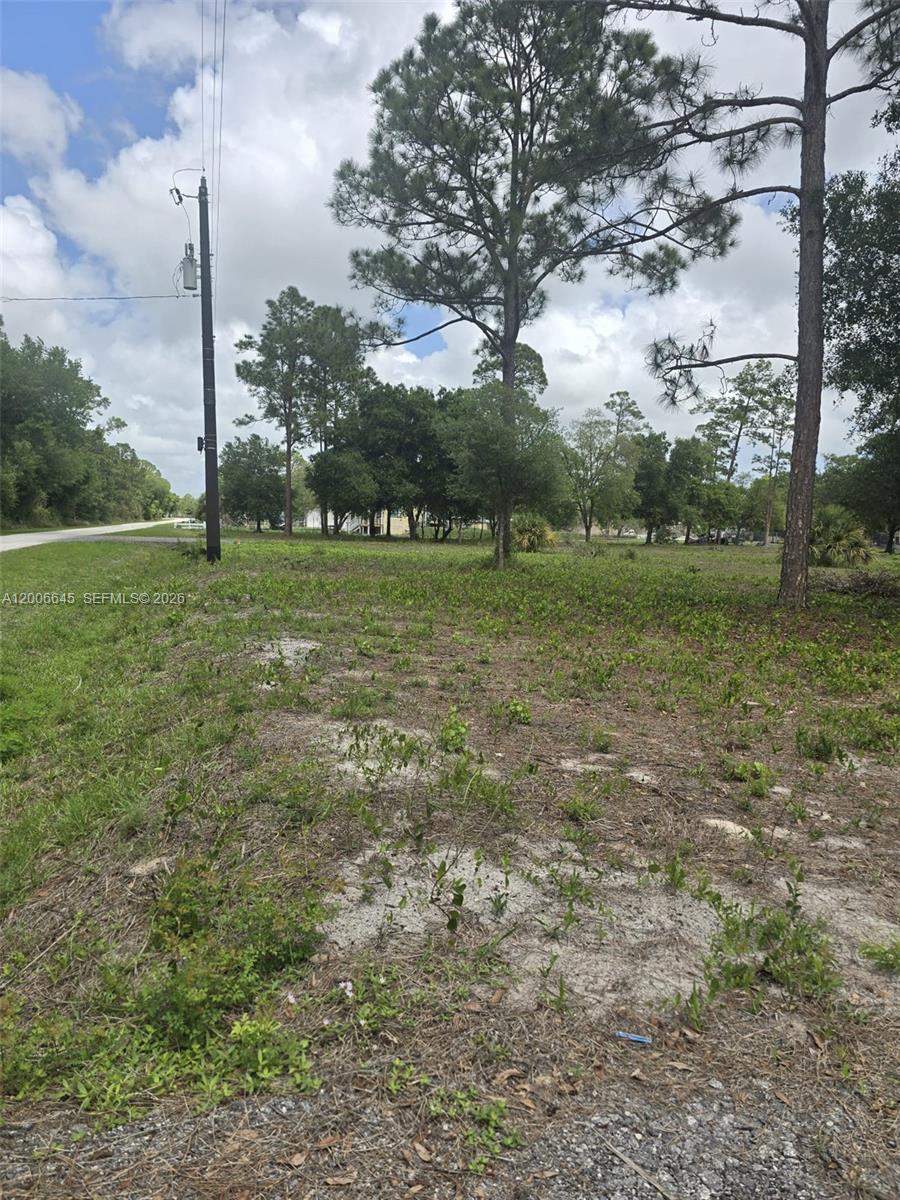 Montura Ranch Estates - Land