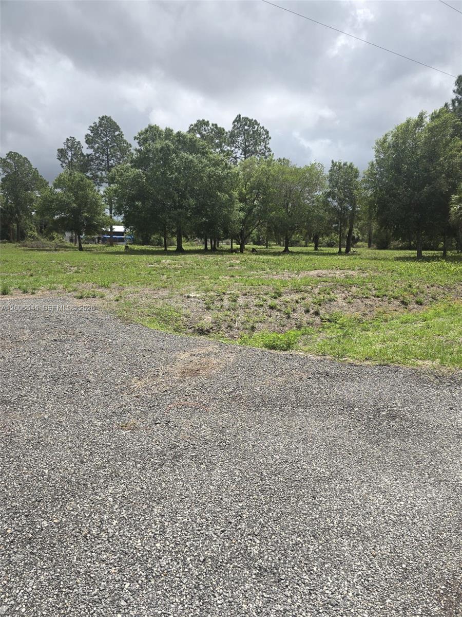 Montura Ranch Estates - Land
