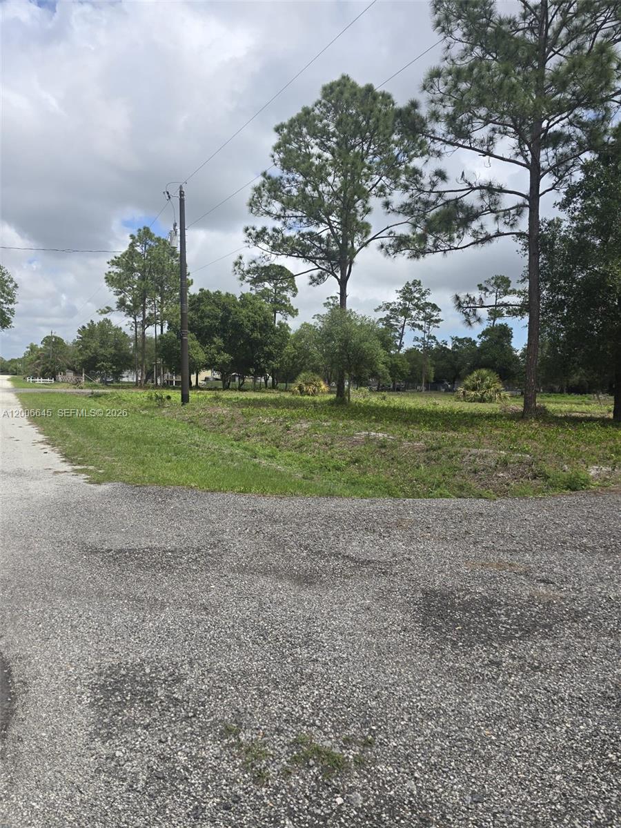 Montura Ranch Estates - Land