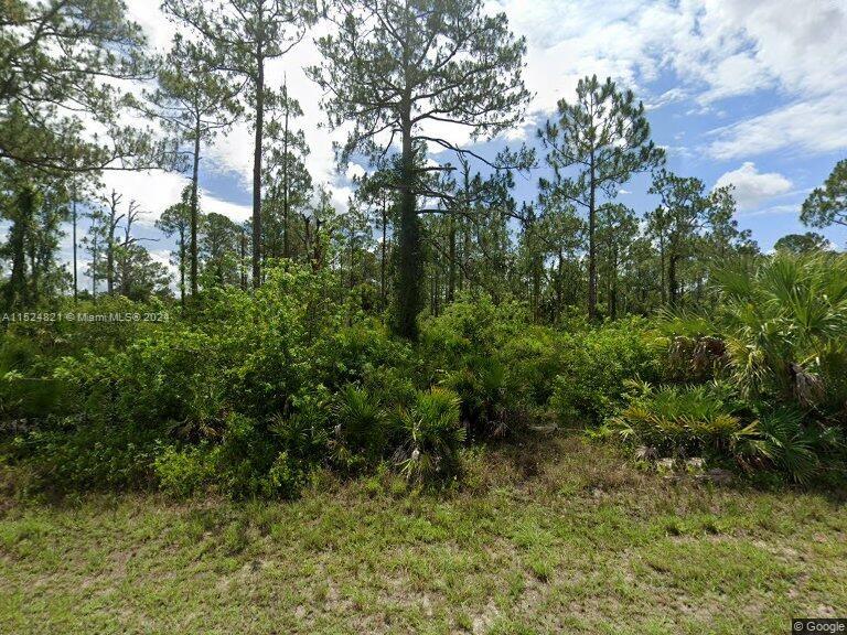 Motivated Seller! Come build your new home here on this beautiful 1/2 acre lot in a growing area in Lehigh Acres, next door 1/2 acre lot is also available.