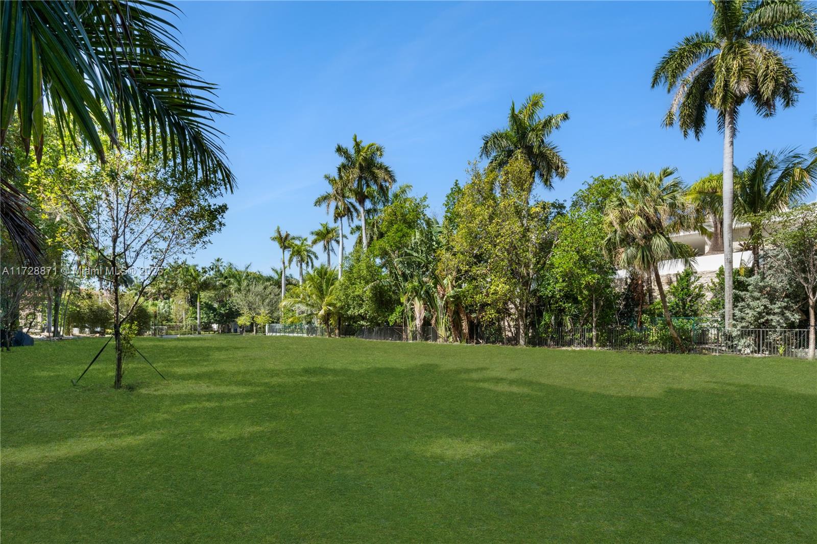 PALM ISLAND - Land