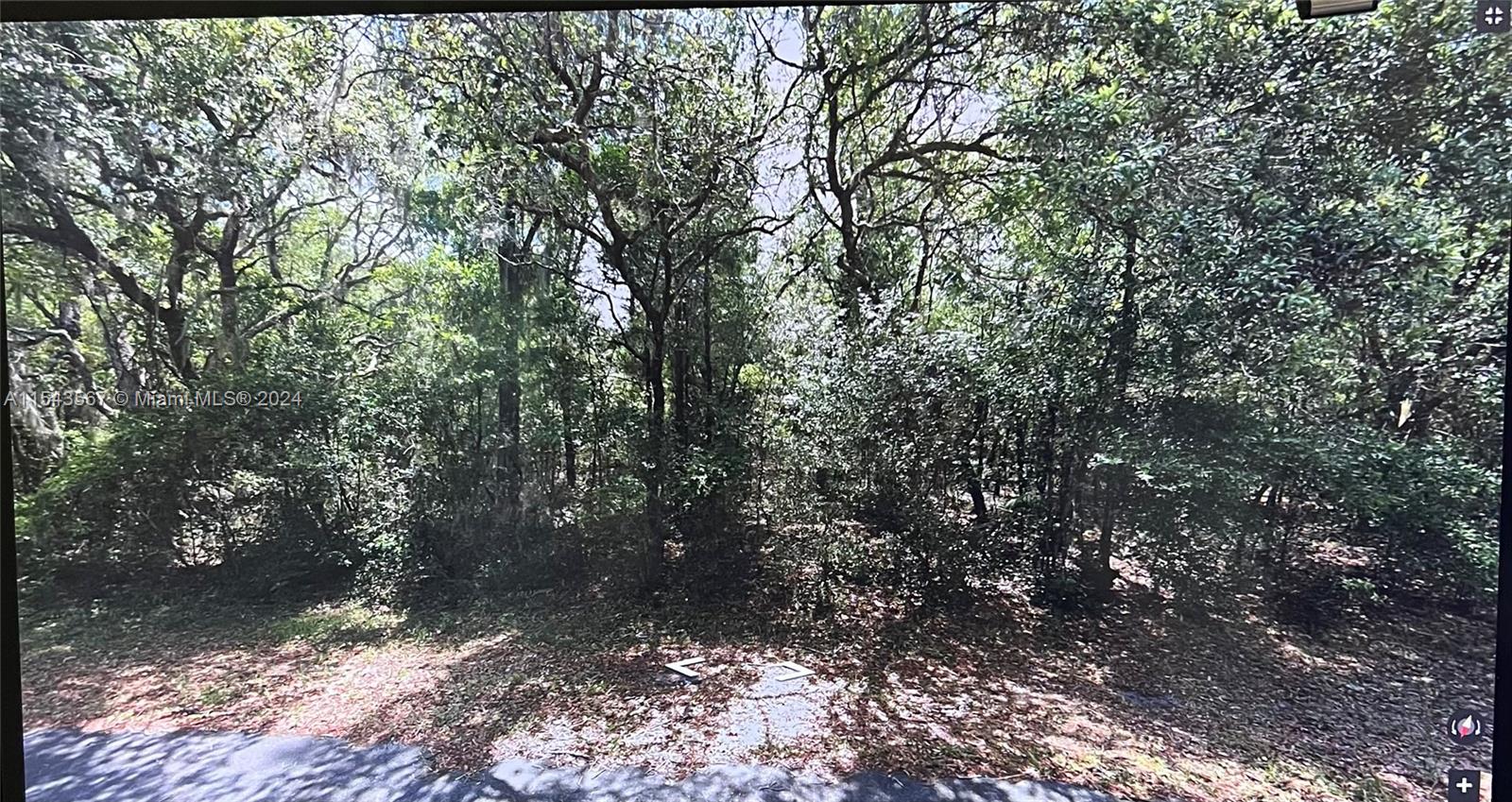 CITRUS SPRINGS UNIT 02 - Land