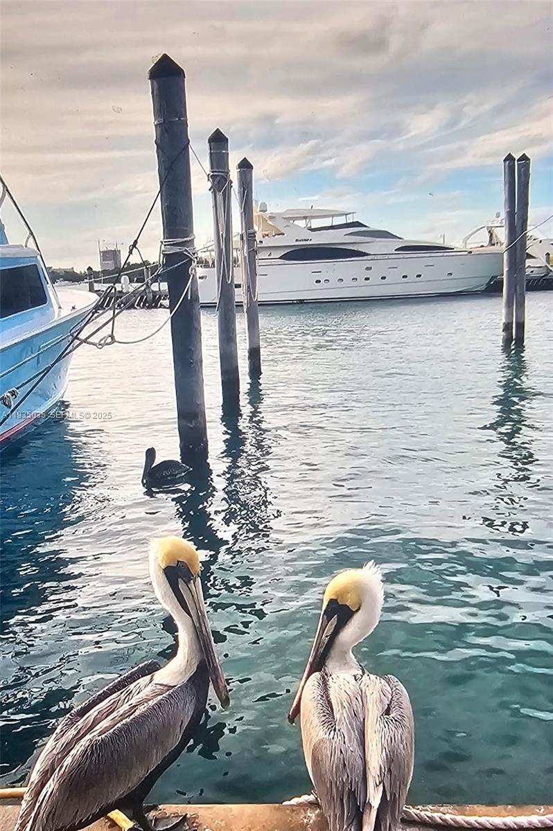Grandview Palace Condo - Land