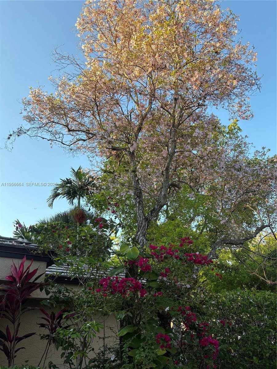 CHELSEA ONE - Residential