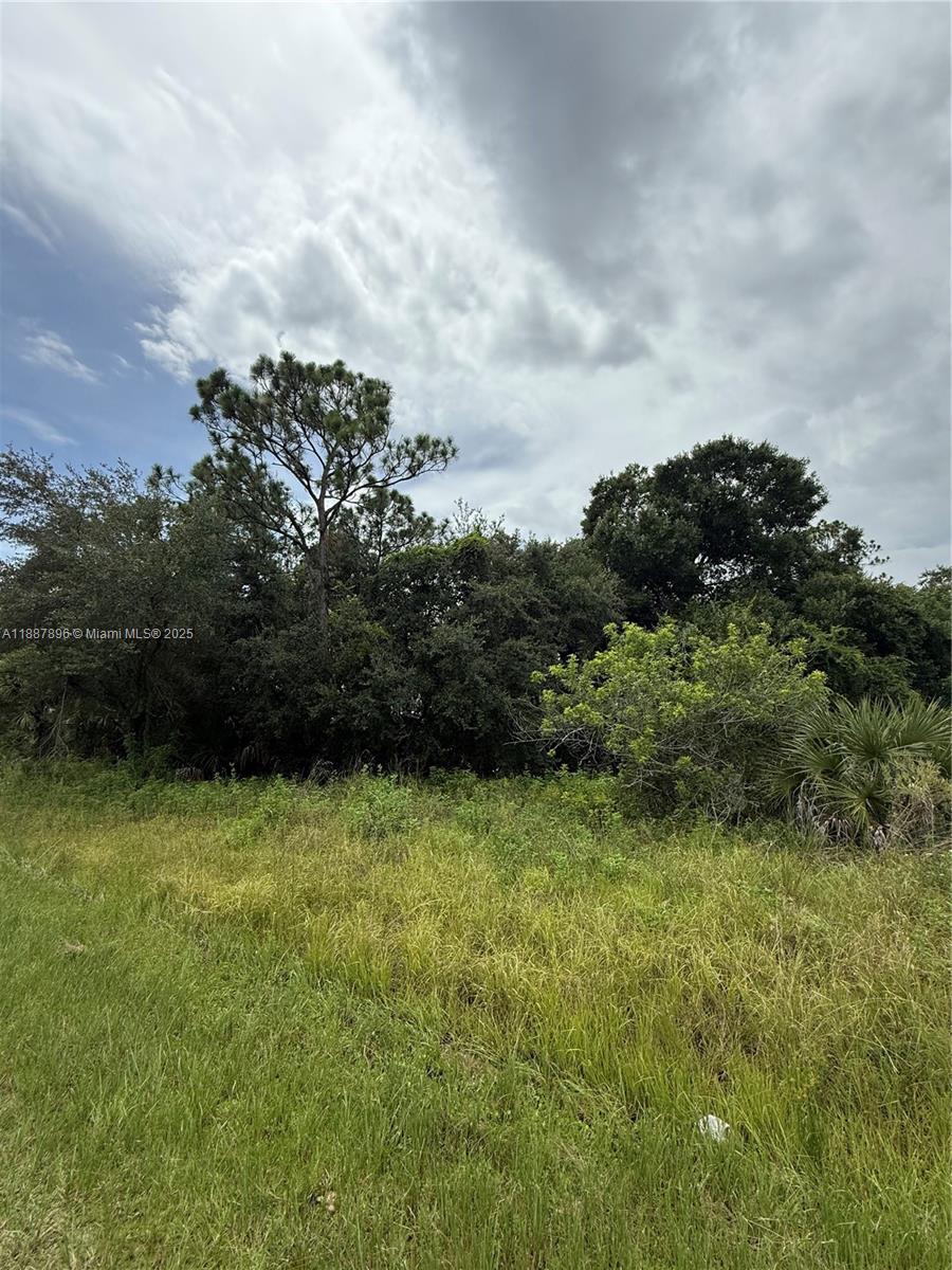 MONTURA RANCH ESTATES - Land