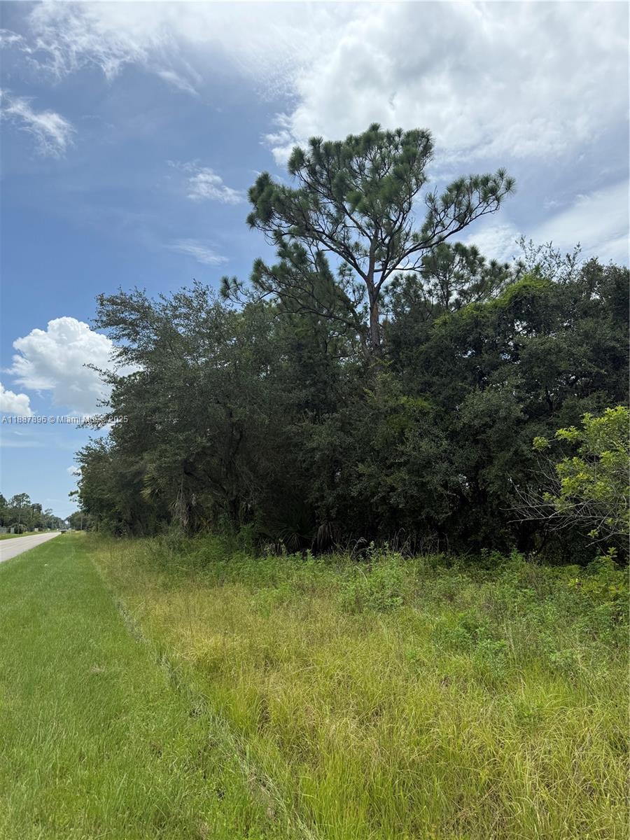 MONTURA RANCH ESTATES - Land