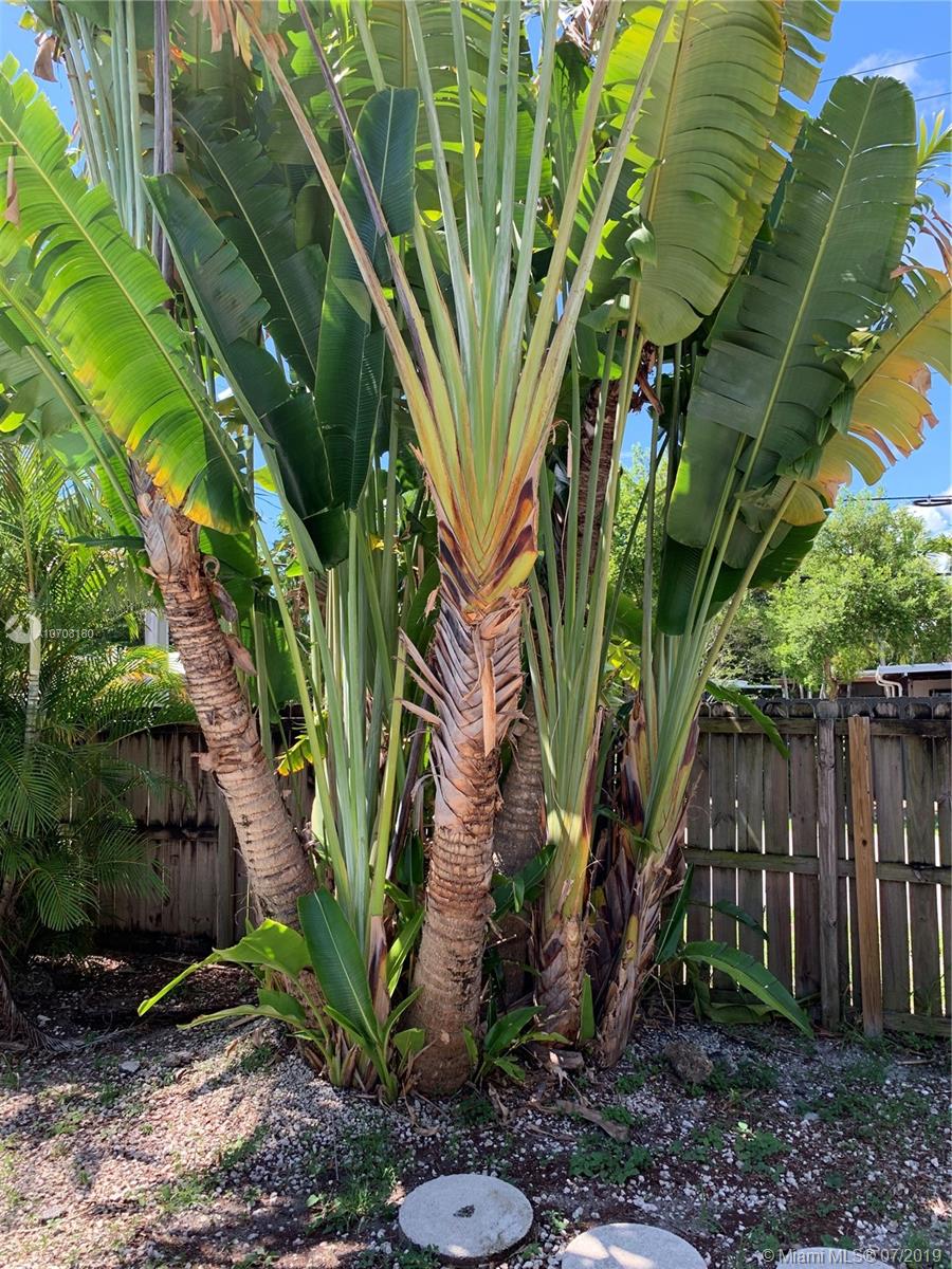 PROGRESSO 2-18 D - Residential