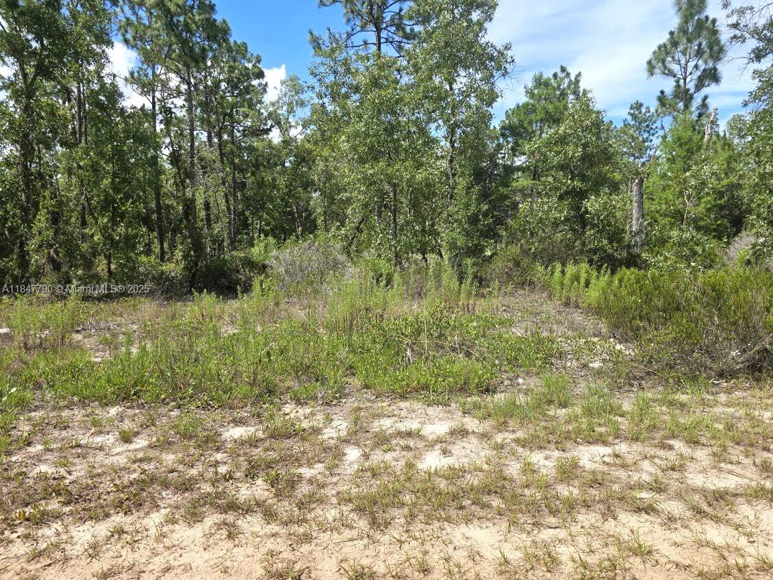 West Lake Gardens - Land