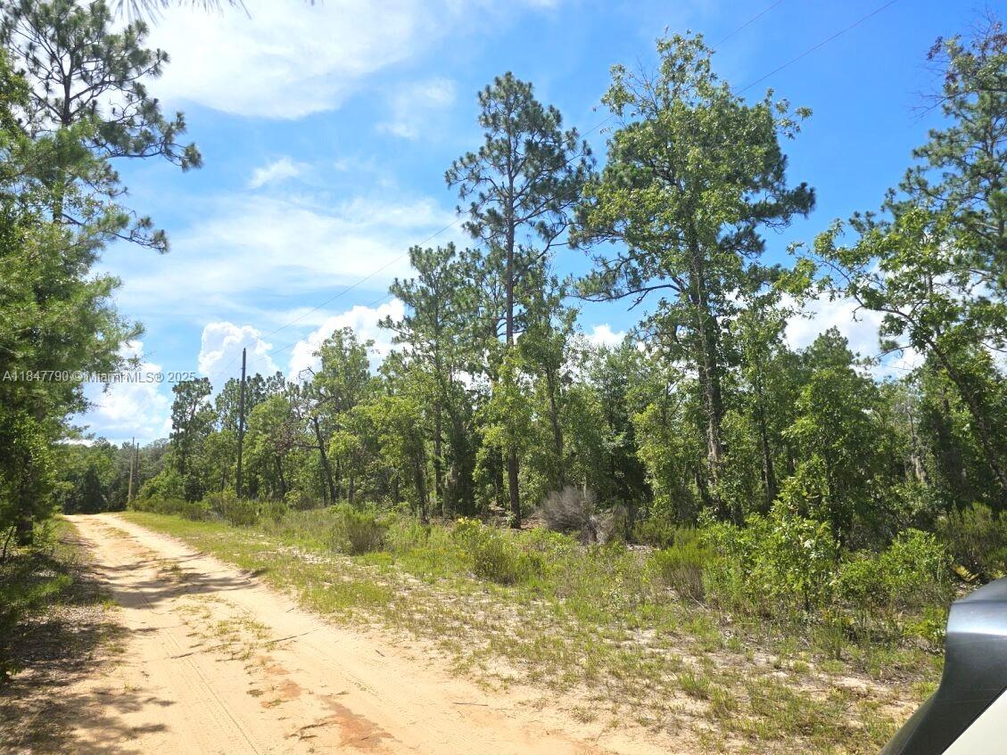 Discover this 0.11-acre lot located in a quiet, peaceful neighborhood. Nestled in a beautiful natural setting, this lot features asphalt road access on the corner, NO HOA, and is located in Flood Zone X (minimal flood risk), offering both freedom and peace of mind. Enjoy easy access to a wide range of outdoor activities, including fishing, kayaking, biking, running, rollerblading, and horseback riding along the scenic Gainesville–Hawthorne State Trail and surrounding parks. Conveniently Located: 25 minutes to Gainesville; 30 minutes to Ocala; 1:30 minutes to Jacksonville; 1:45 minutes to Orlando
Available 9 lots side by side. If it buys all of the lots is $6,755.00 each.
Buyer is responsible for verifying zoning, land use, and building permissions with the local county authorities.