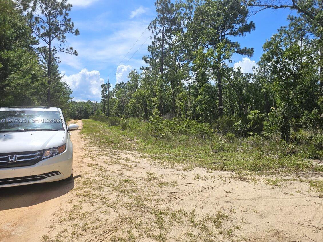 West Lake Gardens - Land