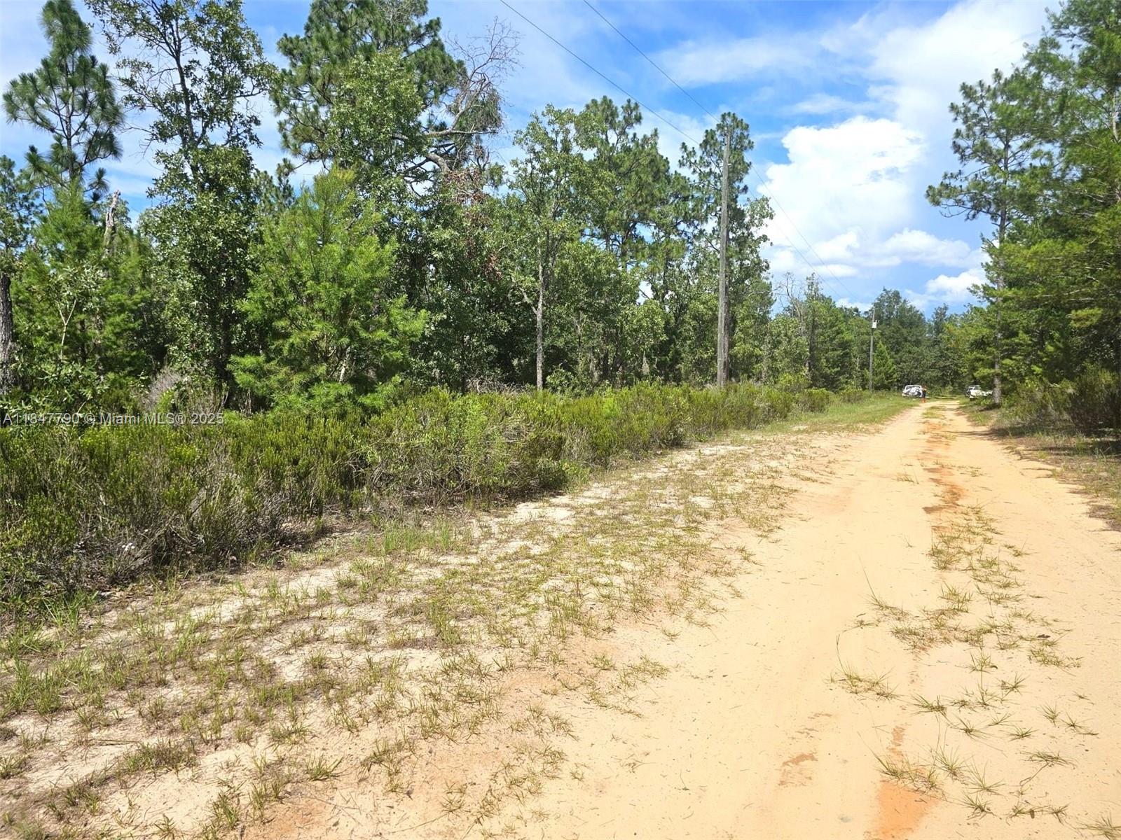 West Lake Gardens - Land