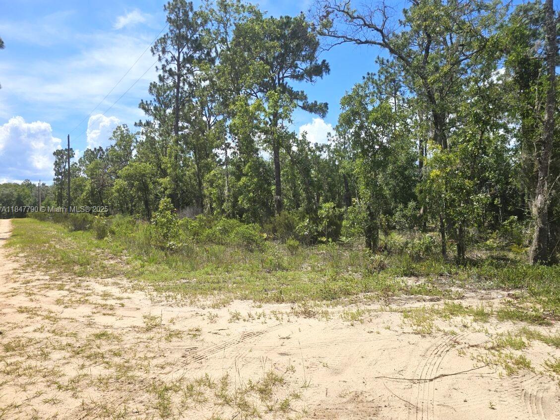 West Lake Gardens - Land