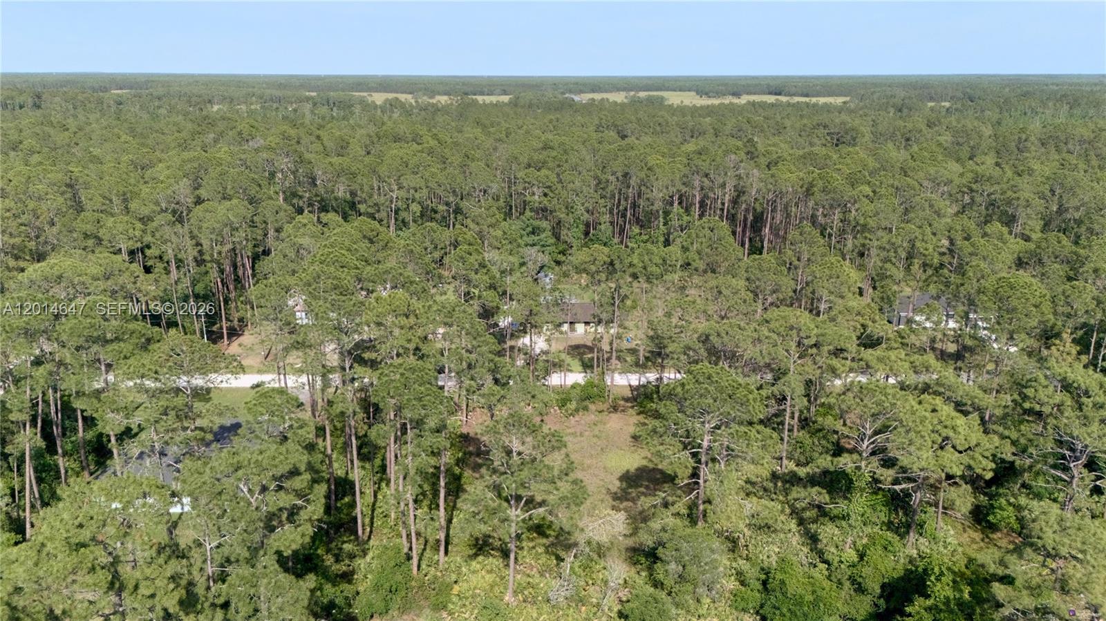 DAYTONA PARK ESTATES - Land