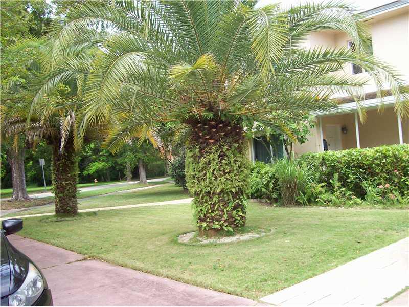 EXTREMELY SPACIOUS APARTMENT ON 2ND FLOOR, 1 BEDROOM/BATH WITH FAMILY ROOM OVERLOOKING REAR YARD. HARDWOOD FLOORING IN BEDROOM/LIVING ROOM. NEWER KITCHEN/TILED/FAM ROOM ALSO. LIGHT AND BRIGHT, CENTRALLY LOCATED NEAR LIBRARY, YOUTH CENTER...TH ANK YOU FOR SHOWING.