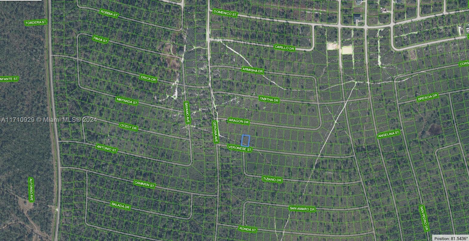 SUN N LAKE EST OF SEBRING - Land