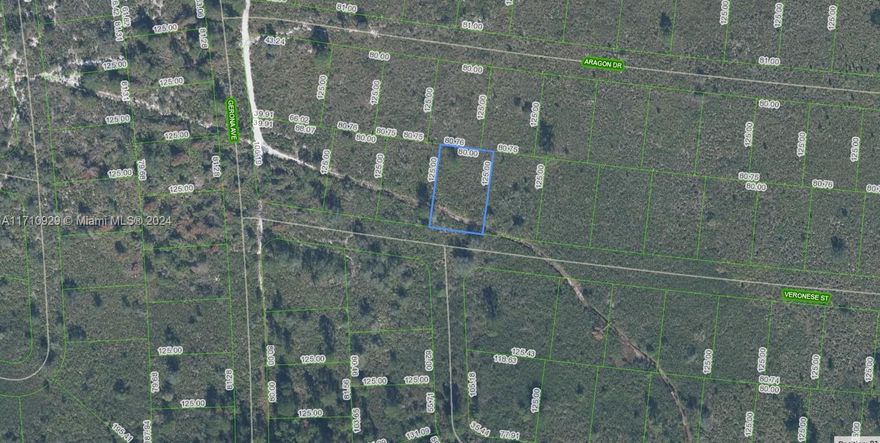 OWNER WILL FINANCE!!! Spacious lot size measuring 125 x 80 sq ft. This lot is near a new water facility that will be coming soon to the area. Sun N Lakes community, a perfect place to build your dream home in which to raise your kids or retire. The Sun N Lakes community offers 2 18-Hole championship golf courses, restaurant, clubhouse, gym, playground, community pool, splash pad, community center, fitness center, pickle ball, and tennis. Sebring is centrally located 1.5 hours from Disney, 1.5 hours from Tampa and 1.45 hours from Ana Maria Island Beaches. Located close to Advent health and Sun N Lake Elementary. Lots are going quickly! Come check it out today! OWNER WILL FINANCE!!! 2K DOWN $305.68 A MONTH FOR 36 MONTHS AT 7% INTEREST.