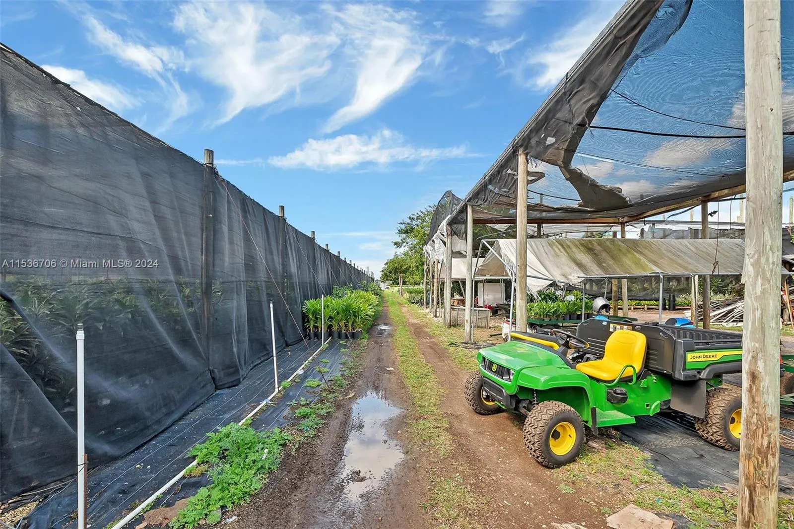 Homestead, Florida 33030, United States, 4 Bedrooms Bedrooms, ,2 BathroomsBathrooms,Residential,Active,64376