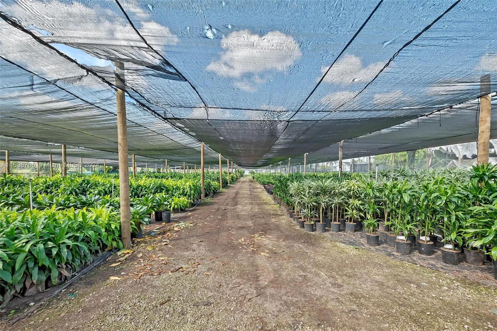 Homestead, Florida 33030, United States, 4 Bedrooms Bedrooms, ,2 BathroomsBathrooms,Residential,Active,64376