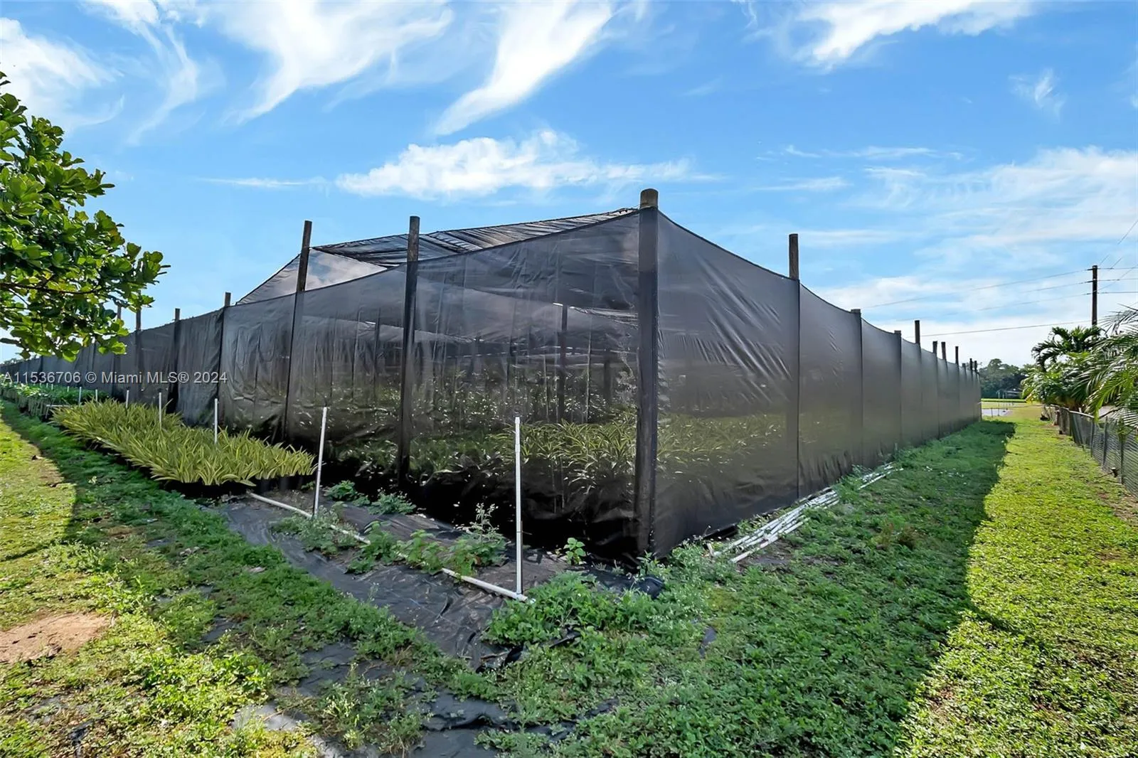 Homestead, Florida 33030, United States, 4 Bedrooms Bedrooms, ,2 BathroomsBathrooms,Residential,Active,64376