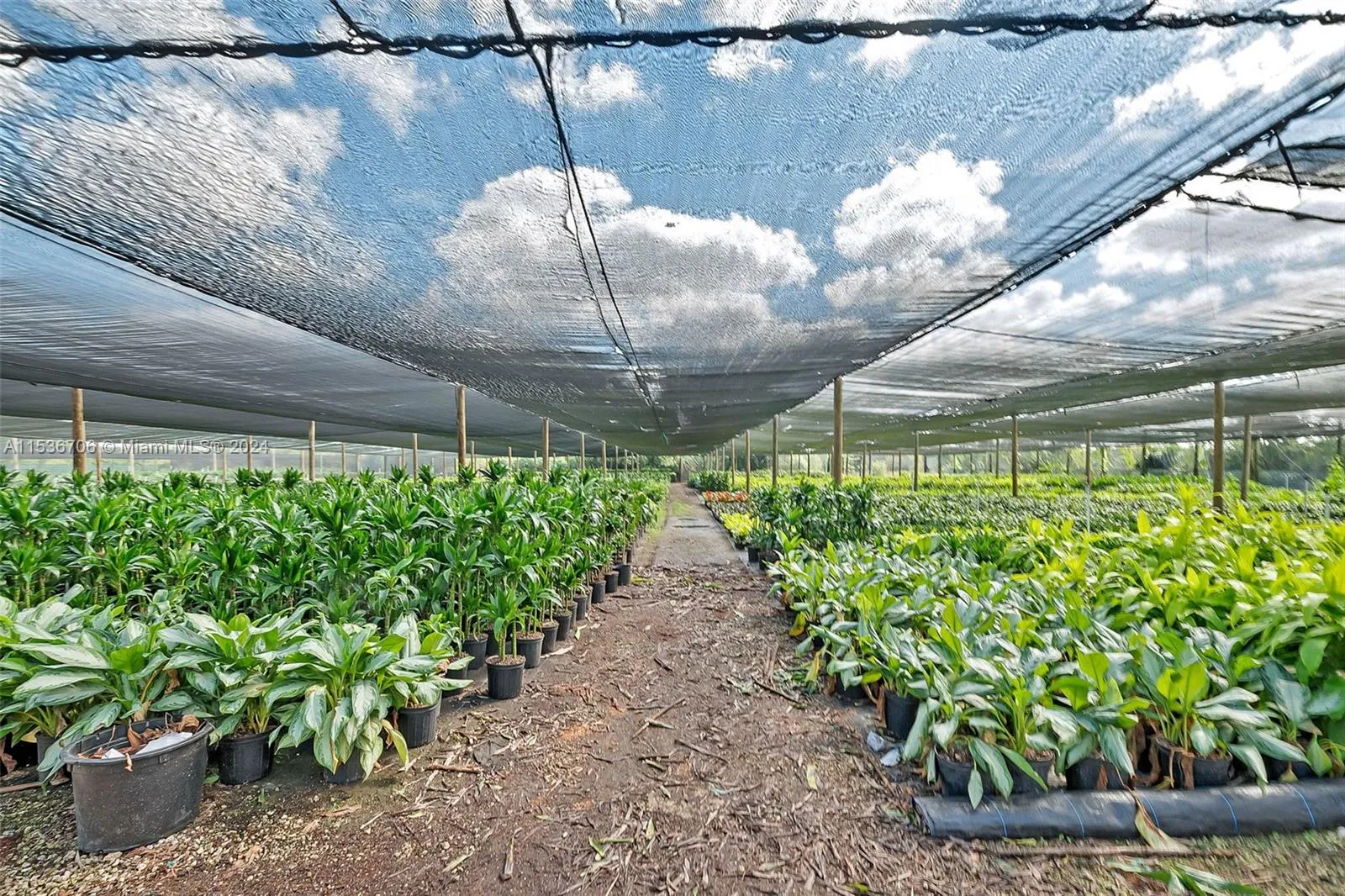 Homestead, Florida 33030, United States, 4 Bedrooms Bedrooms, ,2 BathroomsBathrooms,Residential,Active,64376