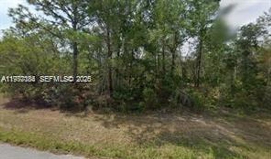 Discover this vacant 0.30-acre lot in the desirable Citrus Springs area. Ideally situated near parks and trails including the famous Withlacoochee trail and nearby downtown areas. This lot is perfect for building your dream home or as a smart investment opportunity. Don't miss out on this incredible chance—contact us today!