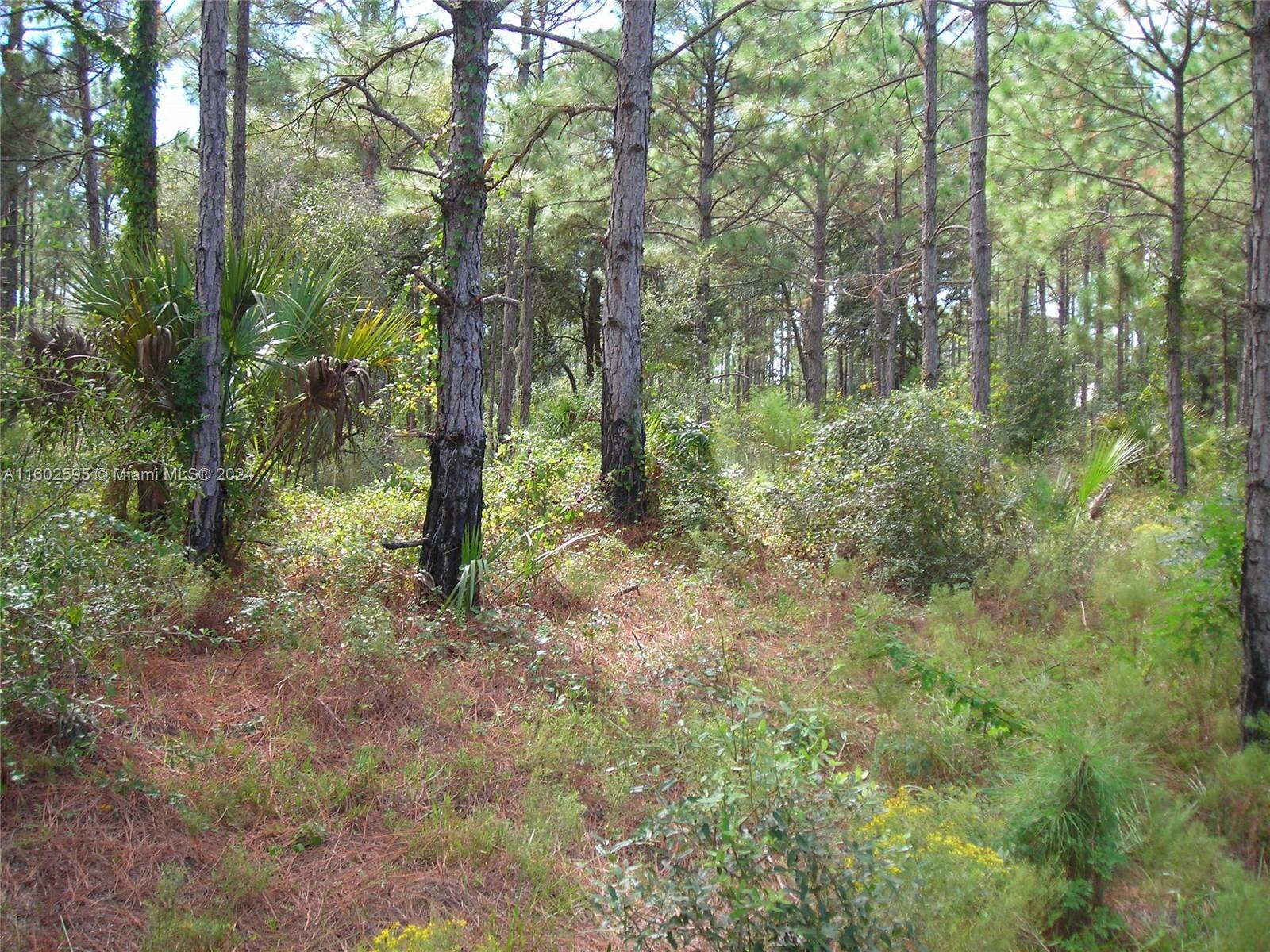Hard to find two acres of land! Build your living quarters, farm, barn and whatever else you desire on this huge 2-acres lot. The property can accommodate several cars, trucks, ATVs, boats, and RVs. Several clearings can be used as a picnic area, fire pit, hot tub, or Yoga retreat. With Agricultural zoning, you can garden to your hearts content and raise chickens or livestock. Have a huge patio for outdoor living. Whether it's a self-sufficient lifestyle you're seeking or just some peace and quiet, you can have both with this very private escape from the daily grind. If you think this is for you, then it's time to get your Homestead on!