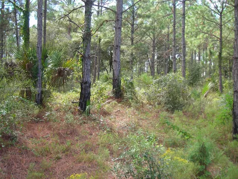 MLS: A11602595