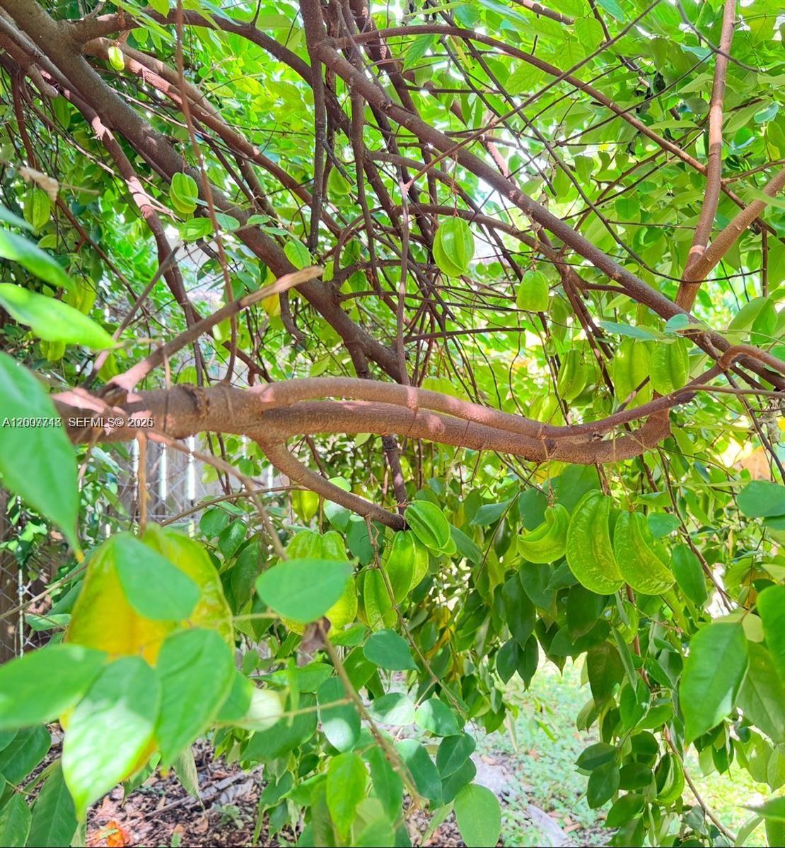 HOLLYWOOD LITTLE RANCHES - Residential