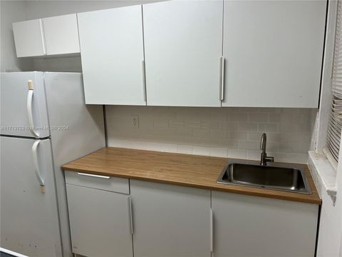 1001 NE 111th St 1001 Biscayne Park FL 33161