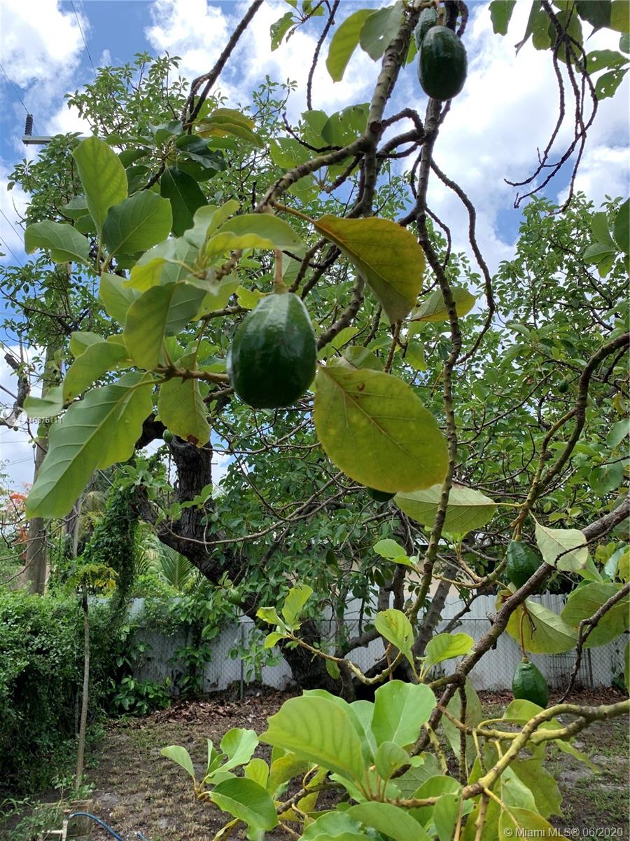 PLAT NO 1 OPA LOCKA - Residential