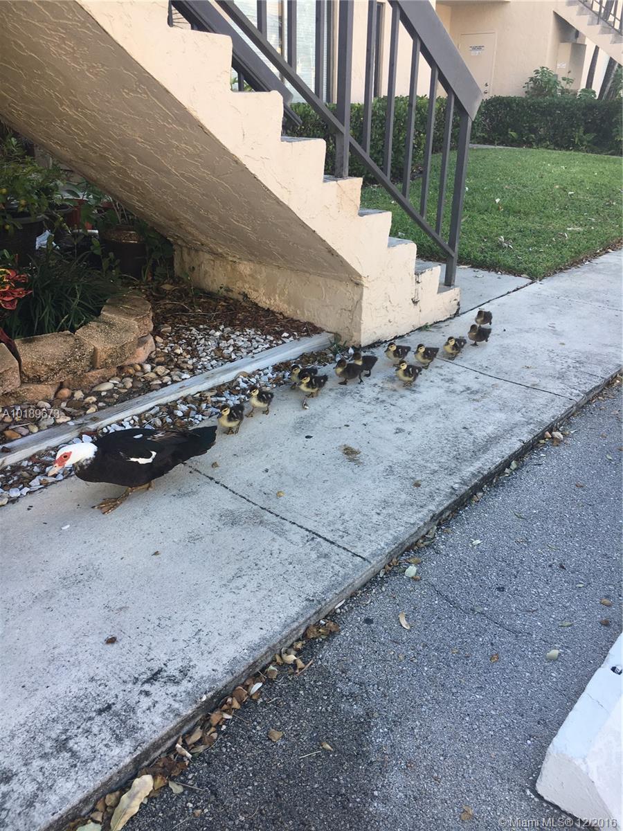 Kensington Walk Condo A-M - Residential Lease