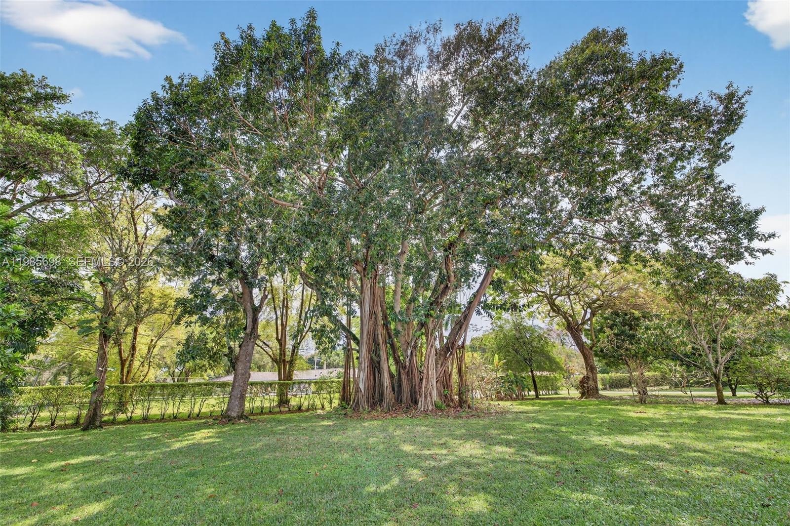 Historic Plantation - Residential