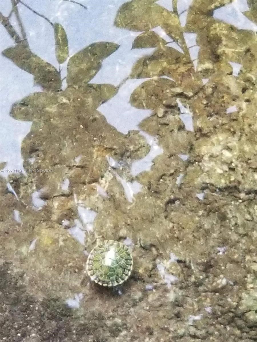 BISC GARDENS SEC F PT 1 - Residential