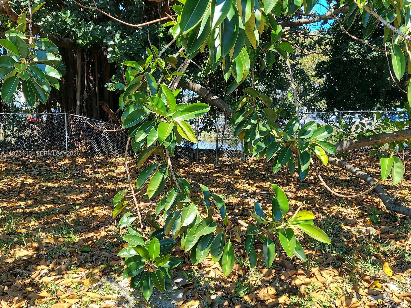 BISC GARDENS SEC F PT 1 - Residential