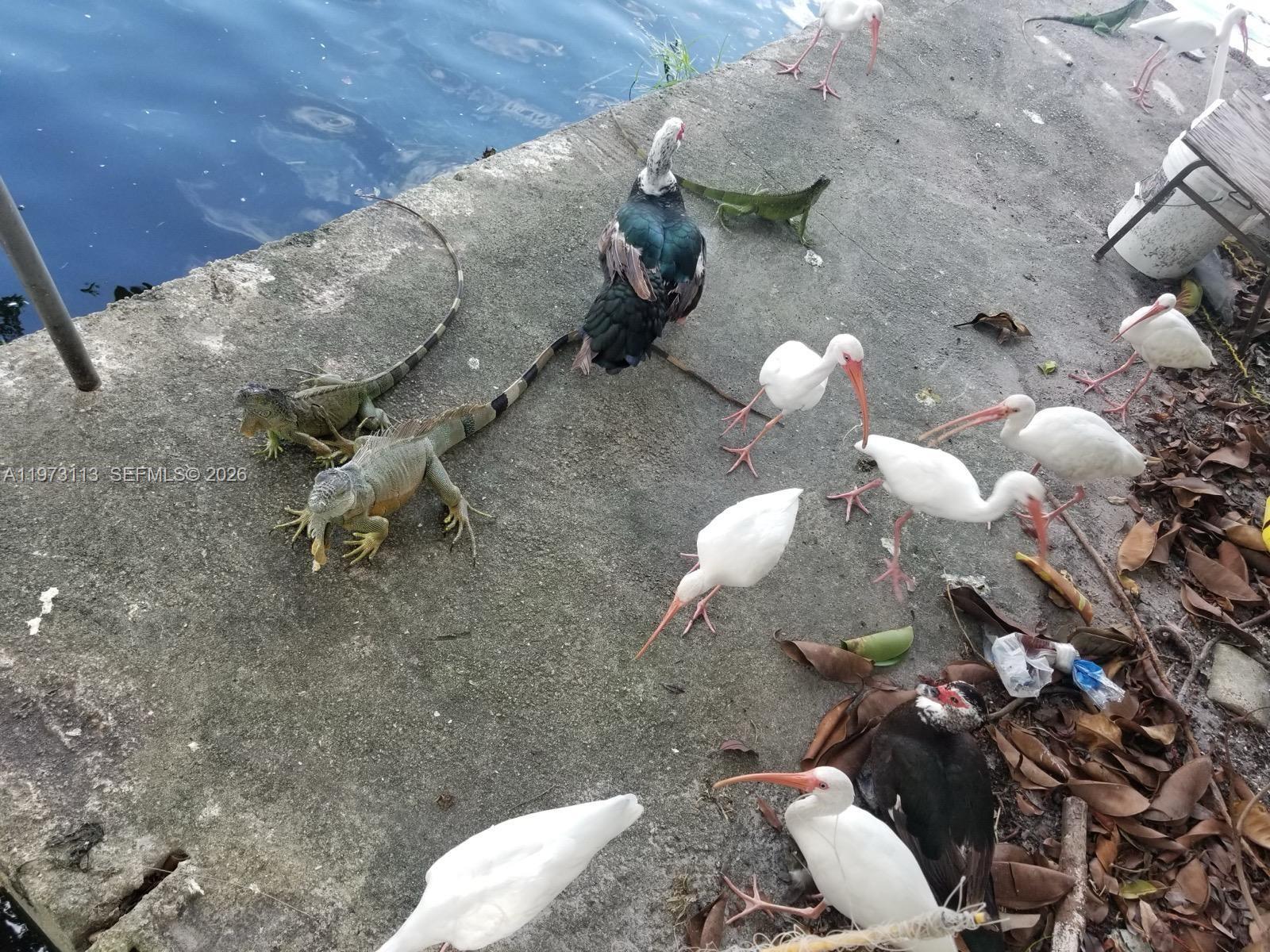 BISC GARDENS SEC F PT 1 - Residential