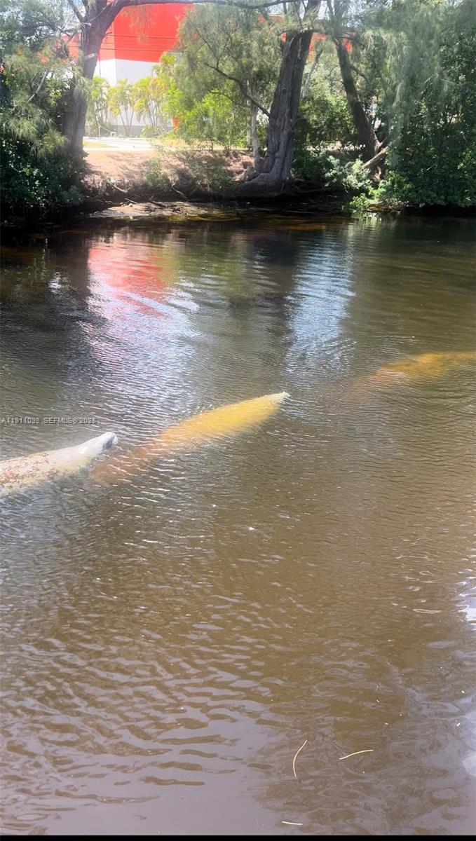 RIVIERA PARK CONDO - Residential