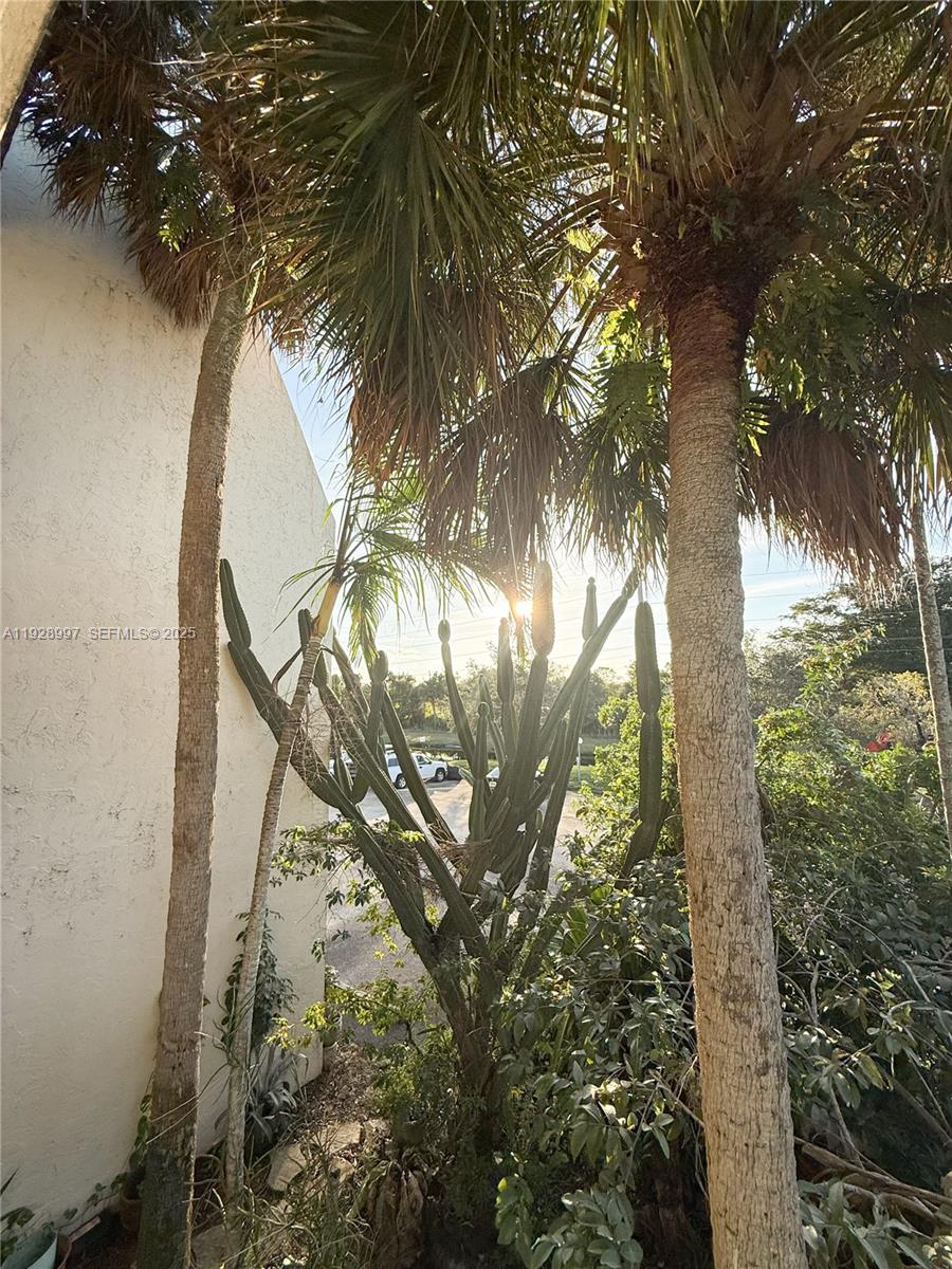 OMEGA CONDO NO 10 - Residential Lease