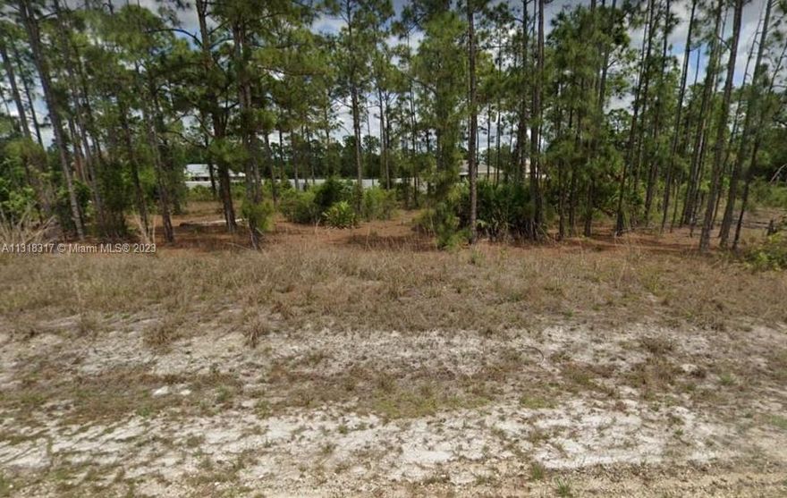 Buildable lot in Leehigh Acres